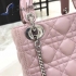 Dior Bag 029